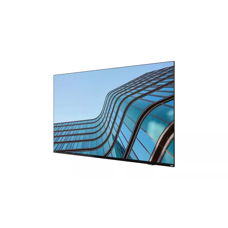 Lenovo ThinkVision E55 LFD Computer-Monitor 138,7 cm (54,6 Zoll) 3840 x 2160 Pixel 4K Ultra HD IPS Schwarz