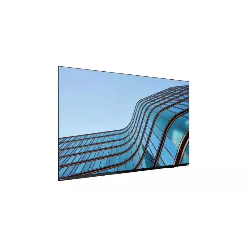 Lenovo ThinkVision E55 LFD Computer-Monitor 138,7 cm (54,6 Zoll) 3840 x 2160 Pixel 4K Ultra HD IPS Schwarz