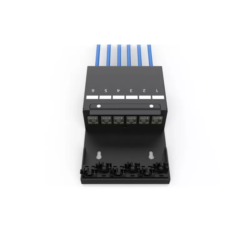 DIGITUS Consolidation Point Box – 6 Ports Keystone-Module mit smartem Kabelmanager