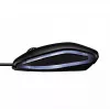 CHERRY GENTIX KABELGEBUNDENE BELEUCHTETE MAUS, Schwarz, USB, beidhändig, optisch, USB Typ-A, 1000 DPI, Schwarz