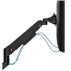 Neomounts DS70-250BL1 Monitorarm 17-35 Zoll - Gasfeder - Topfix - 180°-Stopp