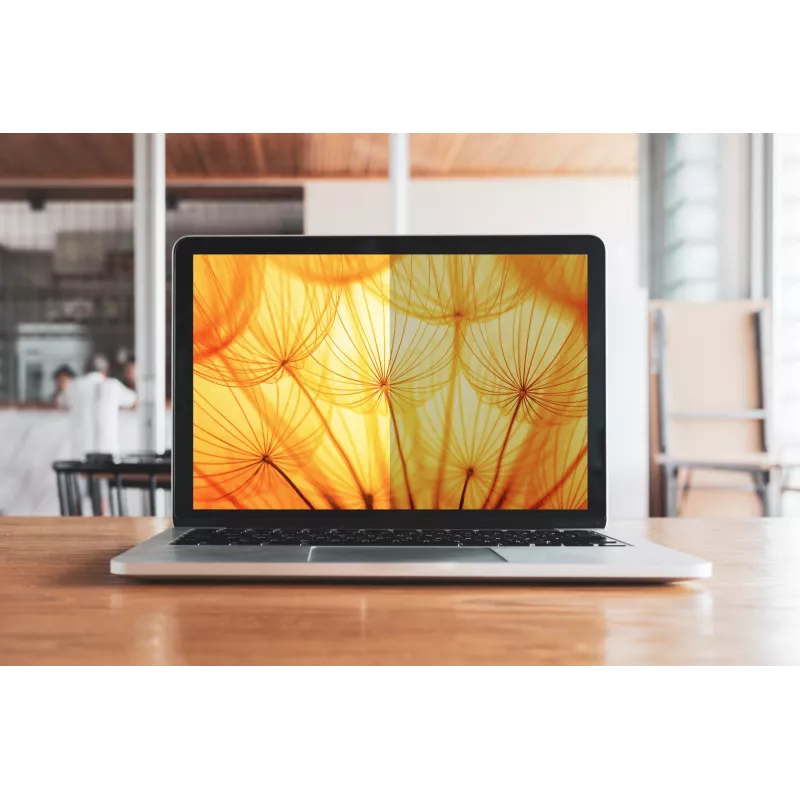 3M Bright Screen Privacy Filter für Microsoft® Surface® Laptop 3 – 5 13,5 Zoll, 3:2, BPNMS002