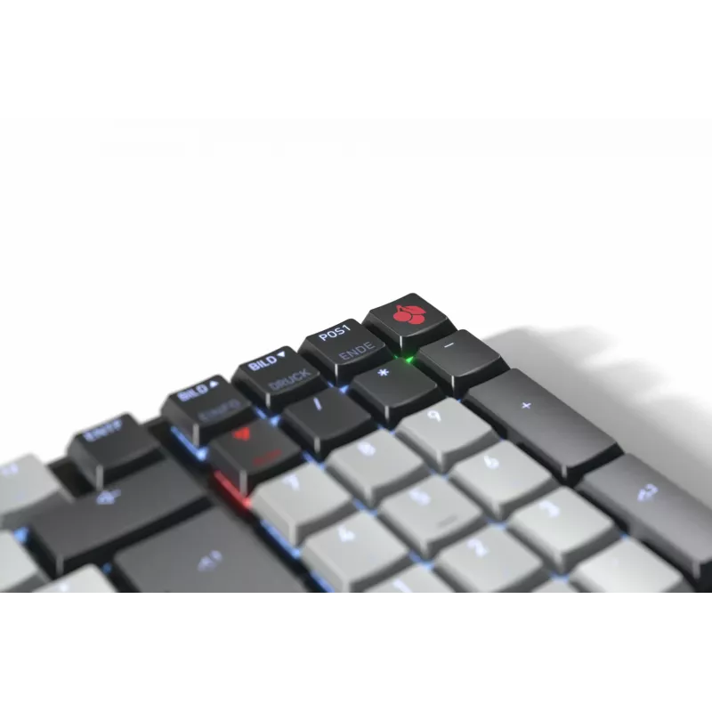 CHERRY KW 550 MX LP Tastatur Home/Office USB + Bluetooth QWERTZ Deutsch Schwarz