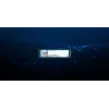 Kingston Technology 480G DC2000B PCIe 4.0 M.2 2280 Enterprise SSD