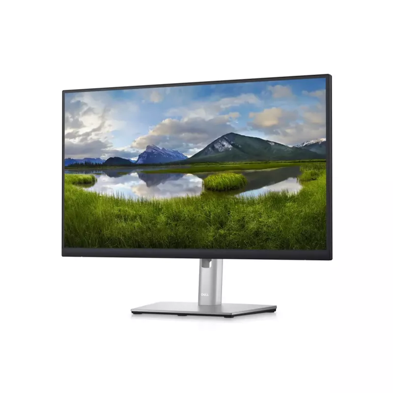 Monitor DELL P2423D 23,8 Zoll LCD Quad HD 2560 x 1440
