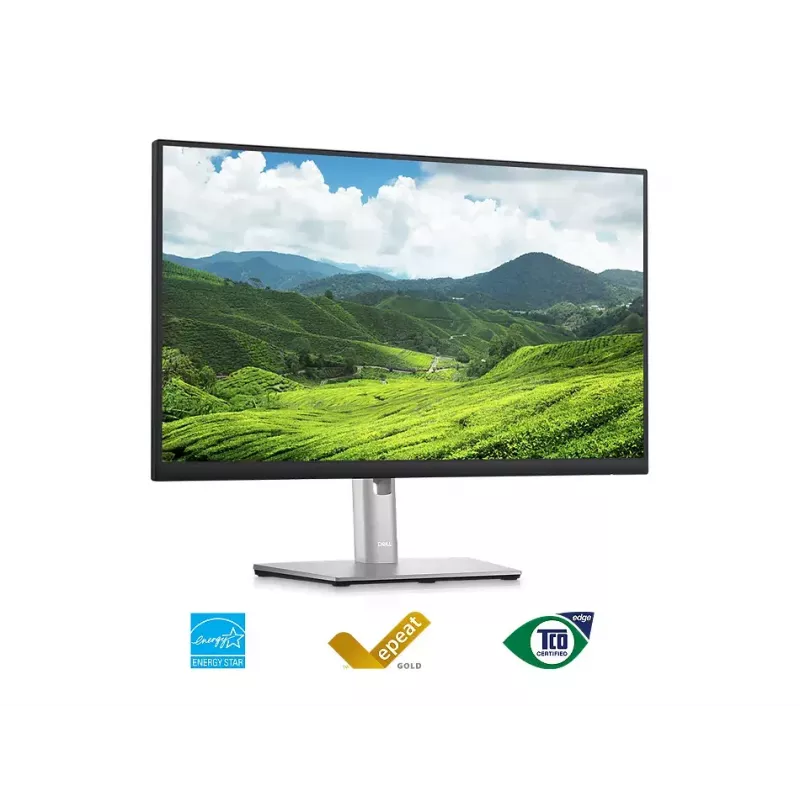 Monitor DELL P2423D 23,8 Zoll LCD Quad HD 2560 x 1440