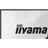 Monitor IIYAMA G2441HSU 23.8 Zoll IPS 1920x1080 144Hz 1ms MPRT, FreeSync, Lautsprecher, USB-Hub, VESA