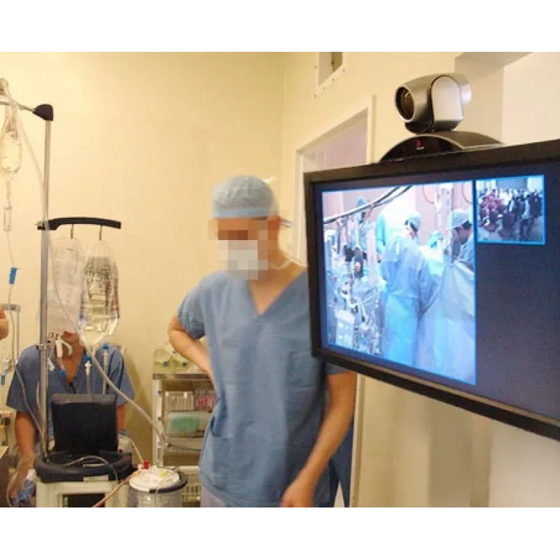 ERGOTRON Interactive Arm Hd (poliertes Aluminium)