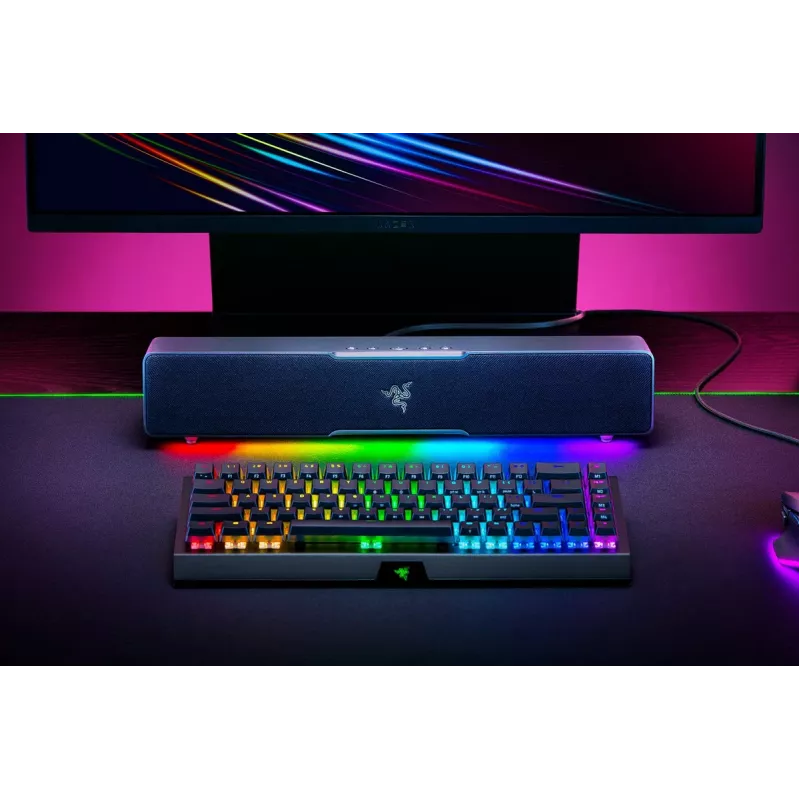 RAZER Leviathan V2 X - PC-Gaming-Soundbar - Schwarz