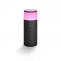 Philips Hue White and colour ambience Calla Outdoor-Sockelleuchte