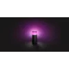 Philips Hue White and colour ambience Calla Outdoor-Sockelleuchte