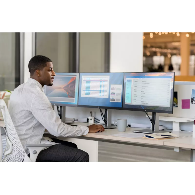 HP E-Series E24 G4 FHD Monitor, 60,5 cm (23,8 Zoll), 1920 x 1080 Pixel, Full HD, LCD, 5 ms, Schwarz
