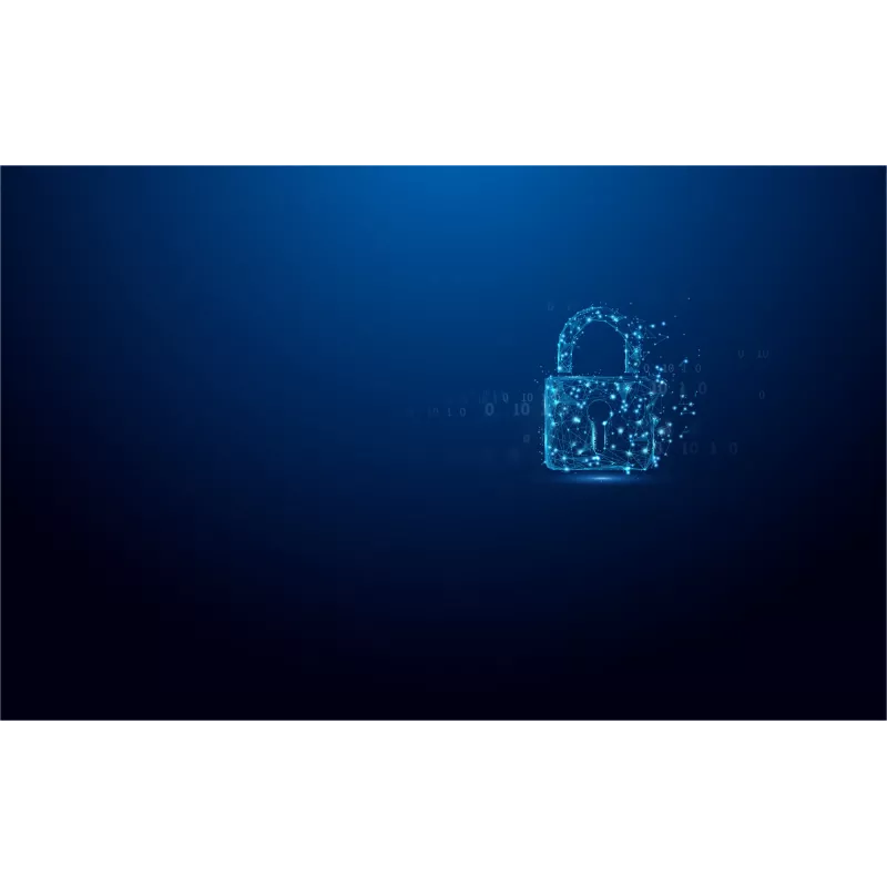 Kingston Technology IronKey 64GB Vault Privacy 50 AES-256 verschlüsselt, FIPS 197
