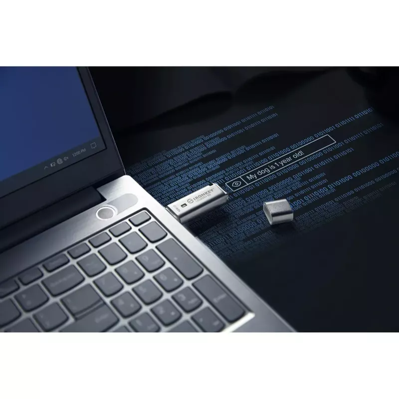 Kingston Technology IronKey 128GB IKLP50 AES USB mit 256-Bit-Verschlüsselung