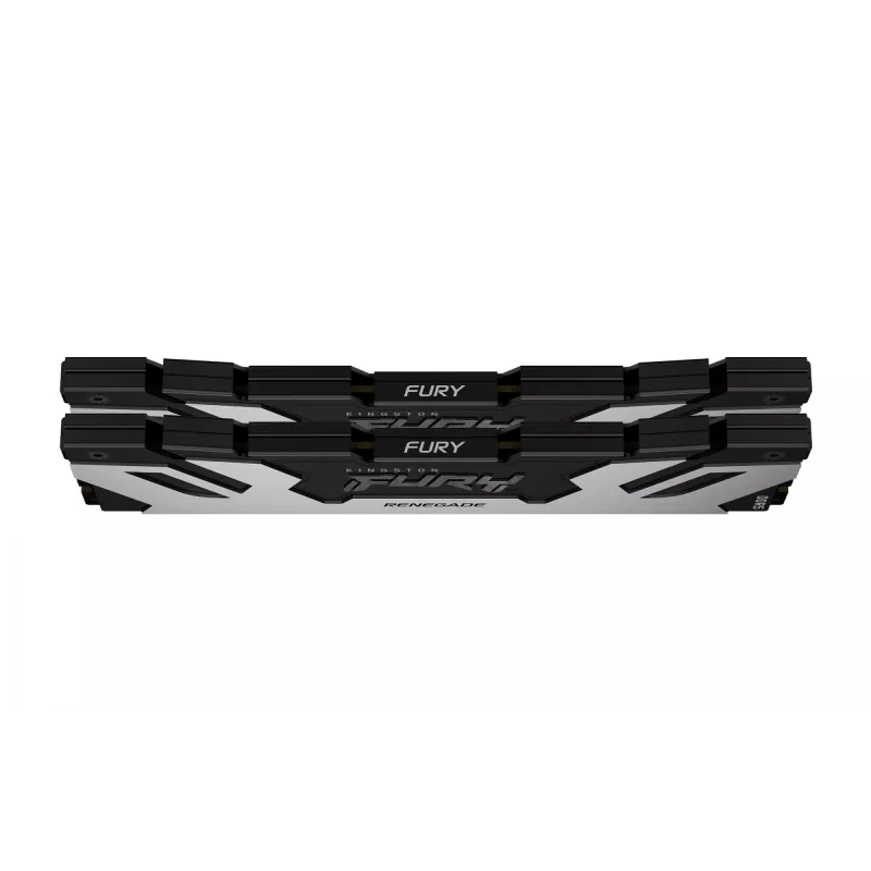 Kingston Technology FURY 32GB 6400MT/s DDR5 CL32 DIMM (Kit of 2) Renegade Silver
