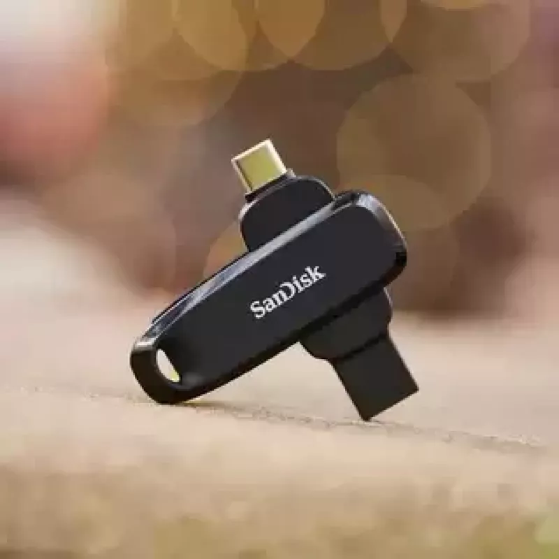 WESTERN DIGITAL SanDisk Phone Drive für Android – 256 GB USB-Stick – USB-C/A 3.2 Gen 1 – Schwarz