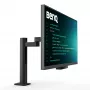 BenQ RD320UA Computer Monitor 80 cm (31,5 Zoll) 3840 x 2160 Pixel 4K Ultra HD LED Schwarz