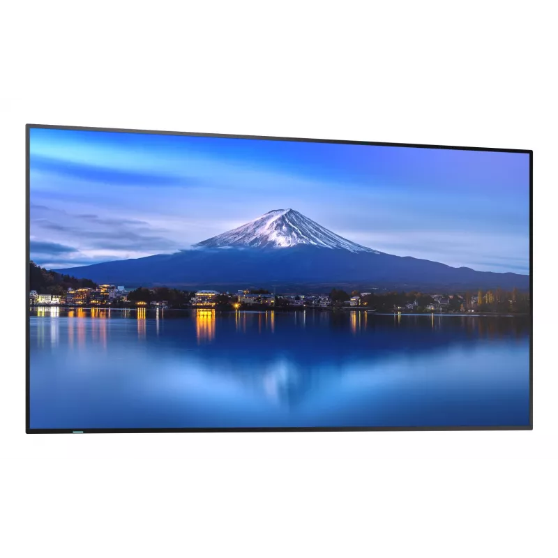 Sharp MultiSync P656 Kiosk-Design 163,8 cm (64,5 Zoll) LCD 700 cd/m² 4K Ultra HD Schwarz Integrierter Prozessor
