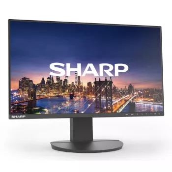 Sharp MultiSync EA242F Computer-Monitor 24 Zoll Full HD 1920 x 1080 LCD Schwarz