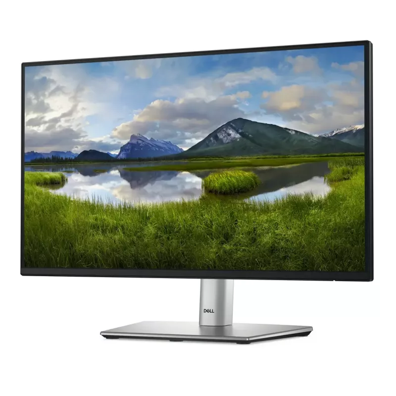 DELL P Series P2225H Computer Monitor 54,6 cm (21,5 Zoll) 1920 x 1080 Pixel Full HD LCD Schwarz, Silber