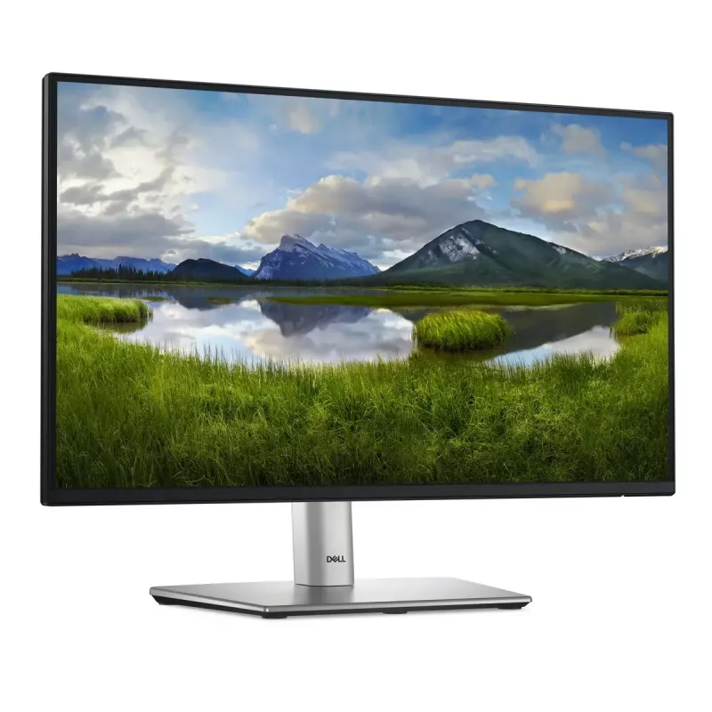 DELL P Series P2225H Computer Monitor 54,6 cm (21,5 Zoll) 1920 x 1080 Pixel Full HD LCD Schwarz, Silber