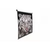 Projektionsleinwand Elite Screens M99UWS1