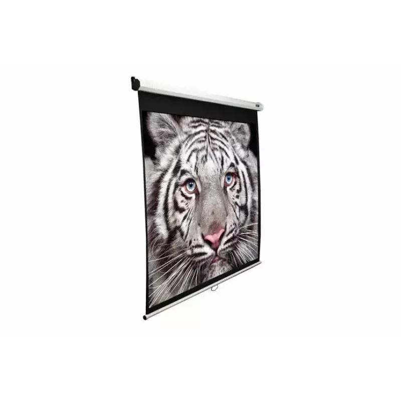 Projektionsleinwand Elite Screens M113UWS1