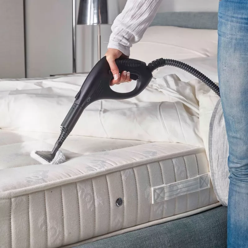Polti Vaporetto Smart 30_S Zylinder-Dampfreiniger 1,6 L 1800 W Grau, Weiß