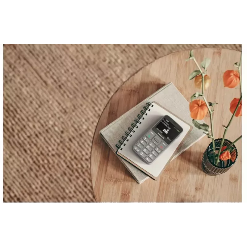 Mobiltelefon Panasonic KX-TU160 2,4 Zoll