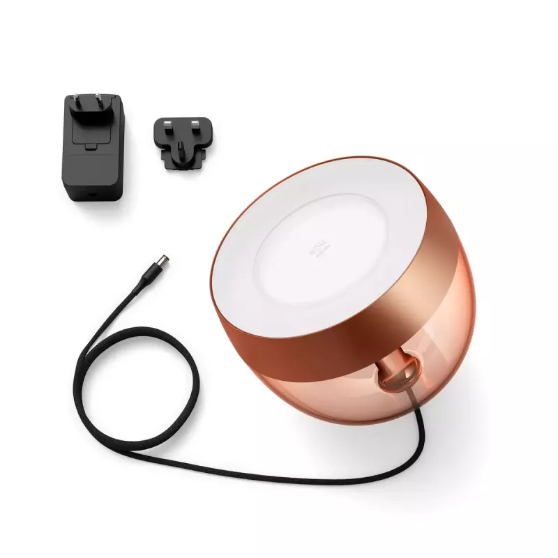Smart-Tischleuchte Philips Hue Iris Kupfer Sonderedition — 1 Leuchtmittel, Bluetooth und Zigbee, 100–240V, 2m Kabel