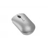 Kabellose beidhändige Maus Lenovo 540 — RF, 2400 DPI, 4 Tasten, USB-C-Empfänger, grau