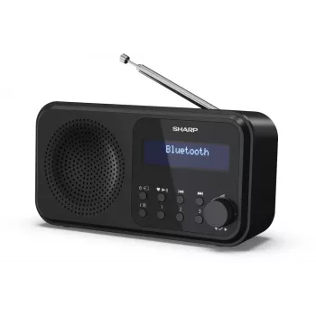 Sharp DR-P420(BK) Tokyo Tragbares Digitalradio, Tragbar, Digital, DAB, DAB+, UKW, Auto-Scan, Auto-Tuning, 2 W, AAC