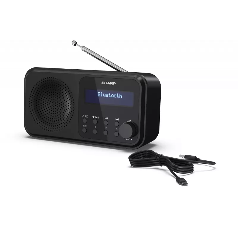 Sharp DR-P420(BK) Tokyo Tragbares Digitalradio, Tragbar, Digital, DAB, DAB+, UKW, Auto-Scan, Auto-Tuning, 2 W, AAC