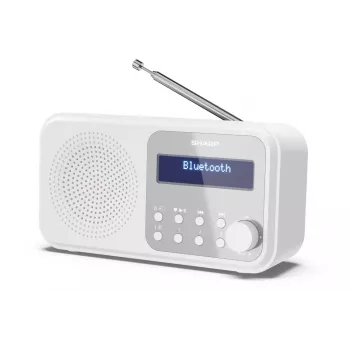 Sharp DR-P420(WH) Tokyo Tragbares Digitalradio, Tragbar, Digital, DAB, DAB+, FM, Auto-Scan, Auto-Tuning, 2 W, AAC