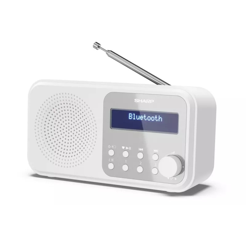Sharp DR-P420(WH) Tokyo Tragbares Digitalradio, Tragbar, Digital, DAB, DAB+, FM, Auto-Scan, Auto-Tuning, 2 W, AAC
