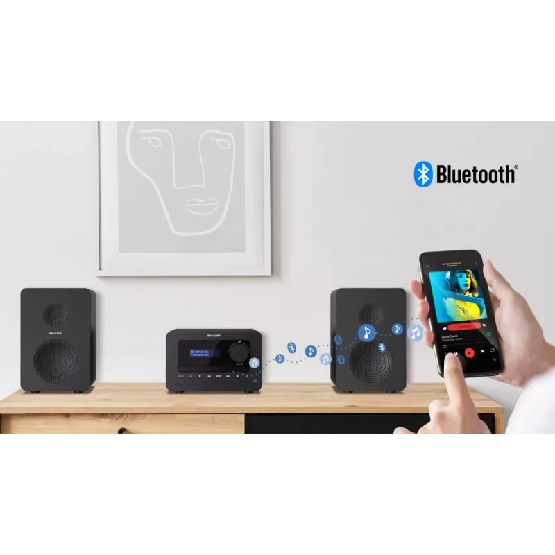 Sharp TOKYO DAB+ HI-FI Micro System Home-Audio-Mikrosystem 40 W Schwarz