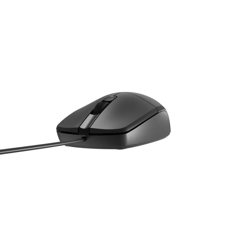NATEC Maus USB Natec Ruff 2 1000dpi optisch Schwarz