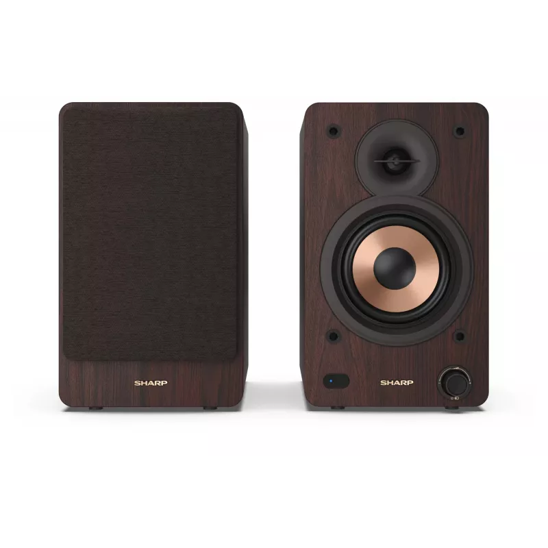 Sharp BOOKSHELF SPEAKERS 2-Wege braun kabelgebunden & kabellos 60 W