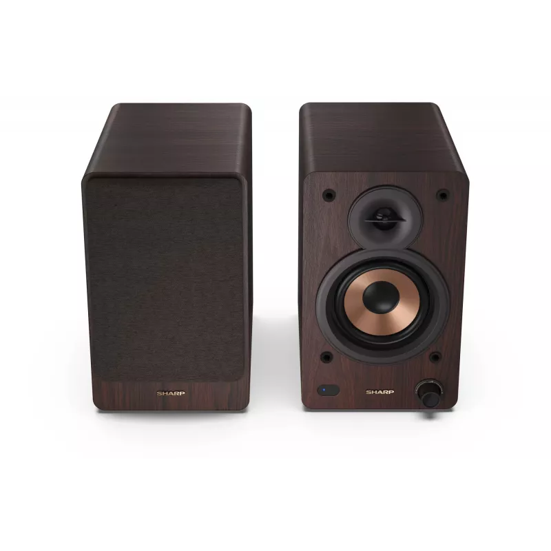 Sharp BOOKSHELF SPEAKERS 2-Wege braun kabelgebunden & kabellos 60 W