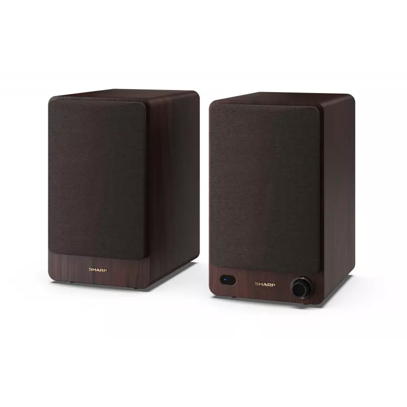 Sharp BOOKSHELF SPEAKERS 2-Wege braun kabelgebunden & kabellos 60 W