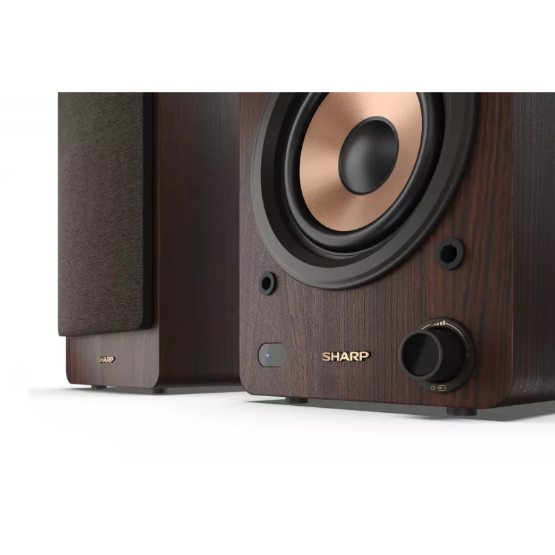 Sharp BOOKSHELF SPEAKERS 2-Wege braun kabelgebunden & kabellos 60 W