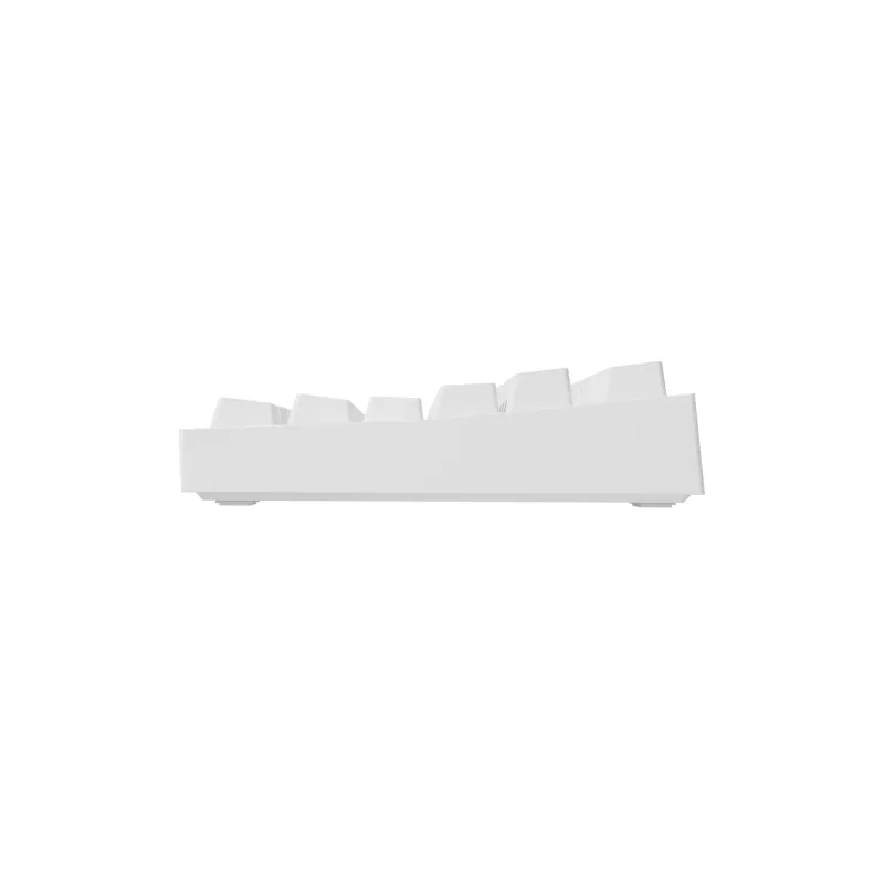GENESIS Thor 404 TKL Tastatur Gaming USB QWERTY US International Weiß