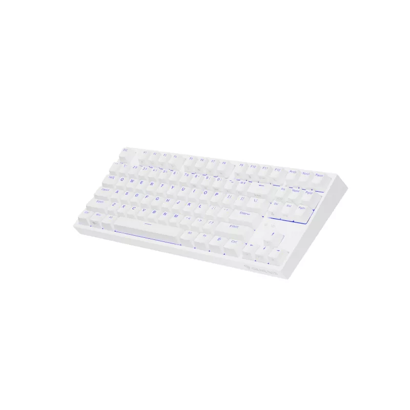 GENESIS Thor 404 TKL Tastatur Gaming USB QWERTY US International Weiß
