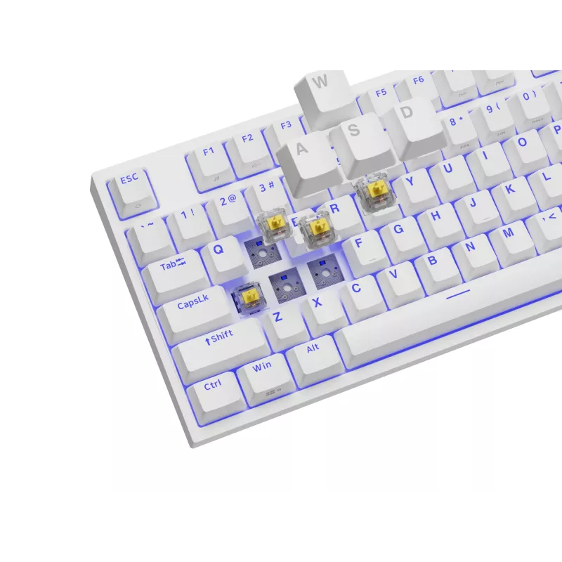 GENESIS Thor 404 TKL Tastatur Gaming USB QWERTY US International Weiß