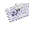 GENESIS Thor 404 TKL Tastatur Gaming USB QWERTY US International Weiß