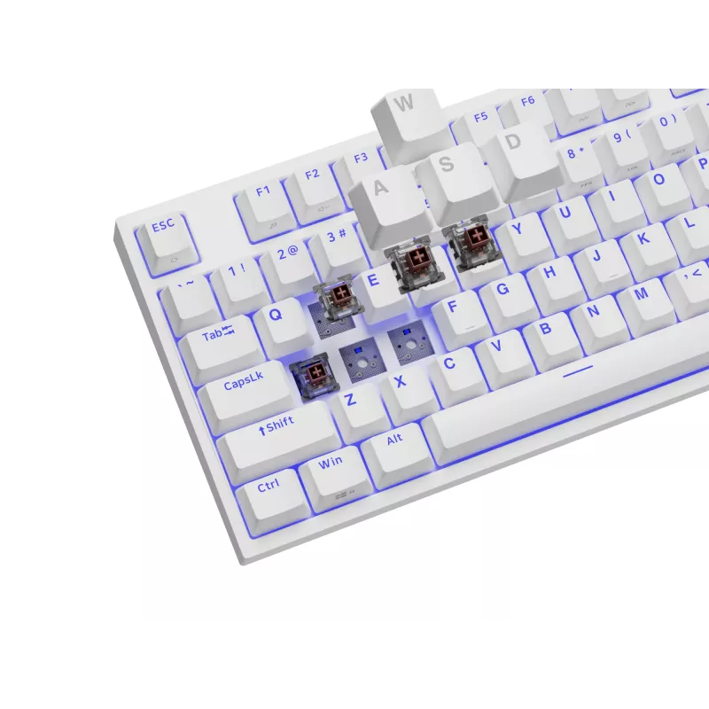GENESIS Thor 404 TKL Tastatur Gaming USB QWERTY US International Weiß