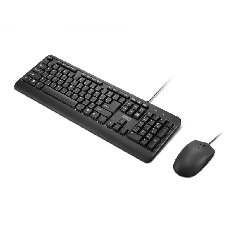 Lenovo 160 Tastatur Maus enthalten Home/Office USB US English Schwarz