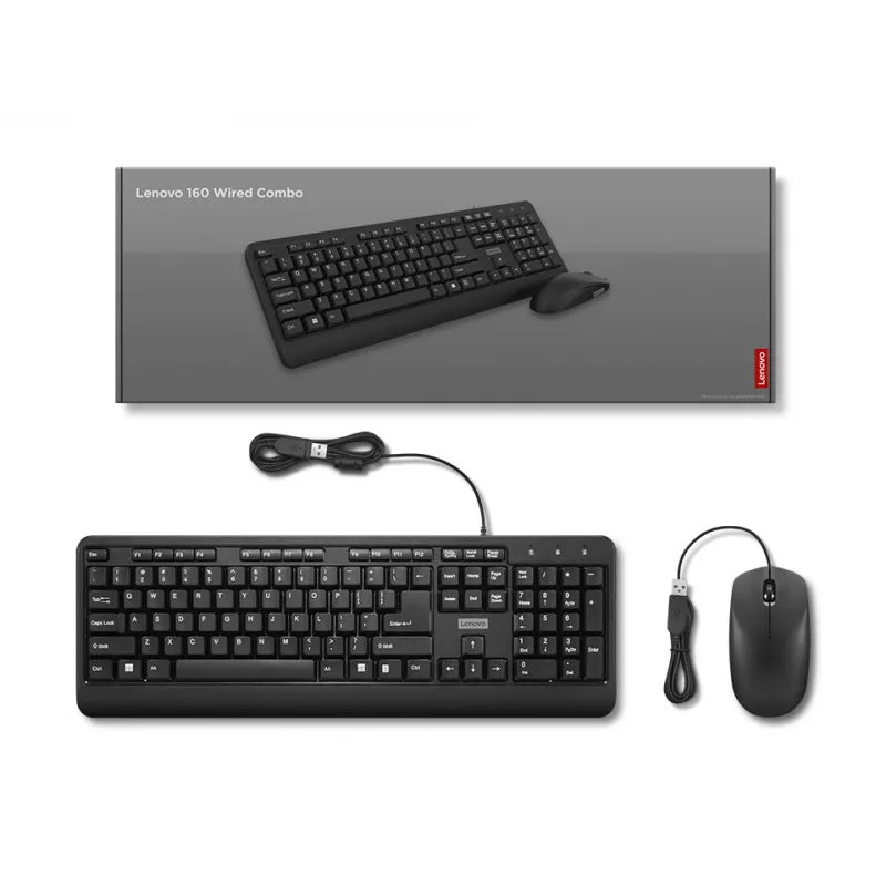 Lenovo 160 Tastatur Maus enthalten Home/Office USB US English Schwarz