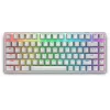 Alienware Pro Wireless Gaming Keyboard USB + RF Wireless + Bluetooth Weiß