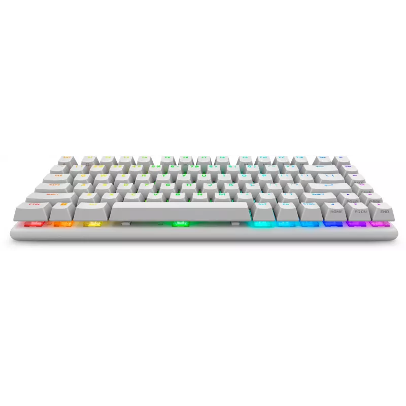 Alienware Pro Wireless Gaming Keyboard USB + RF Wireless + Bluetooth Weiß